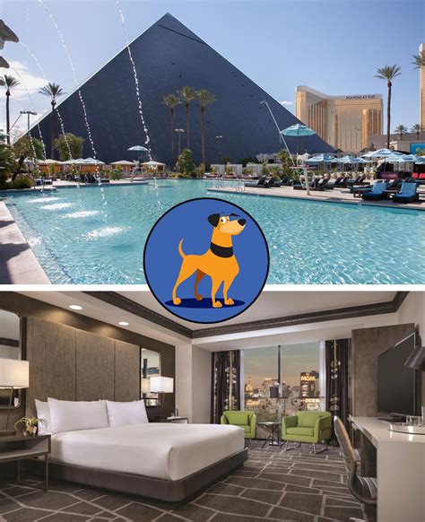 dog friendly hotels in vegas.